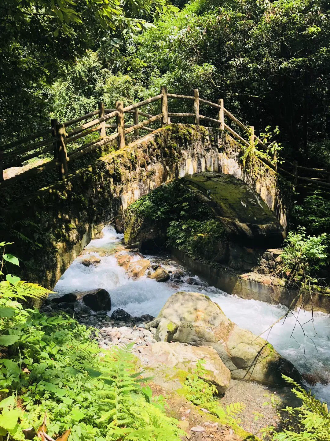 今起，杭州大回暖！温度直飙…